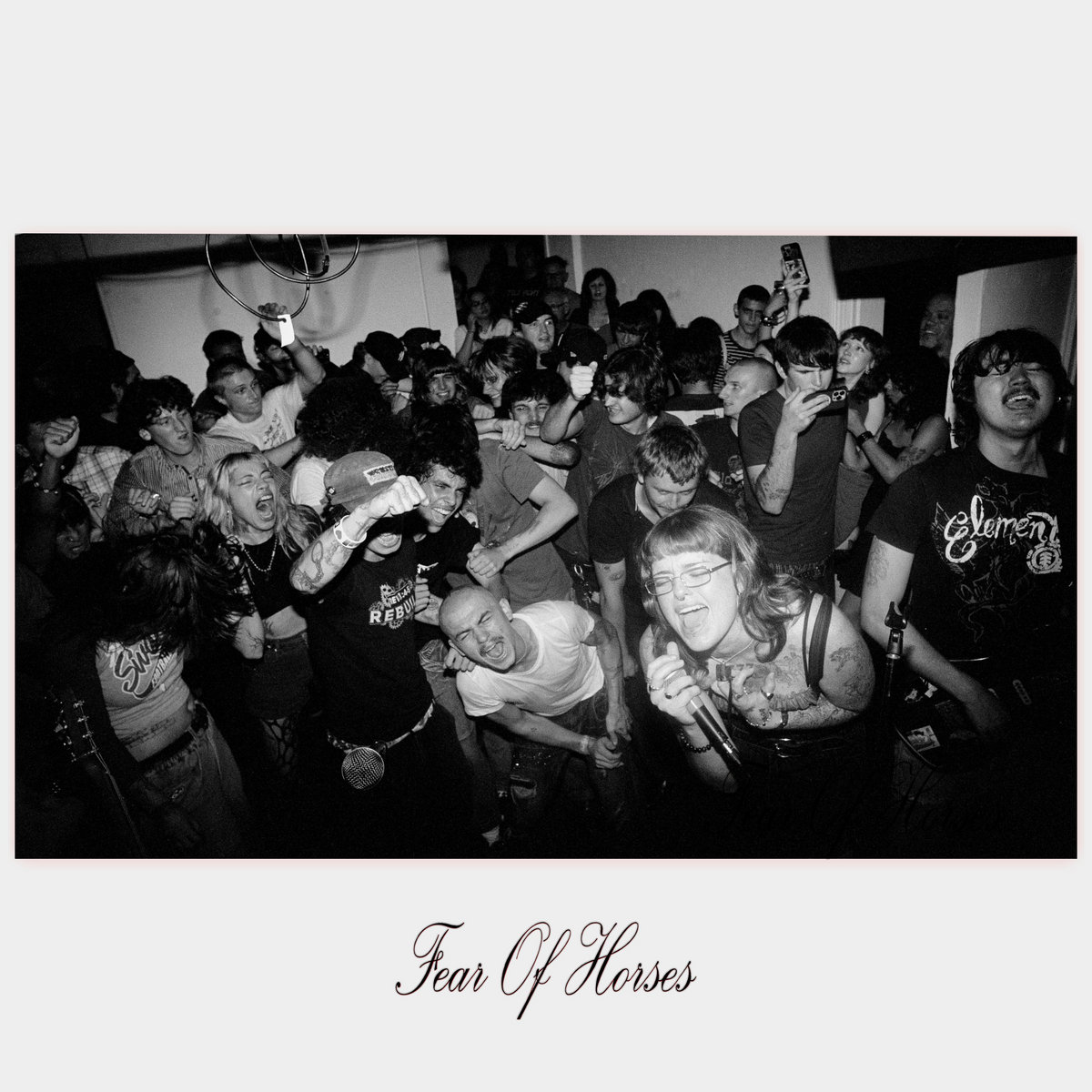 fearofhorses